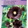 Sluis Garden - Stokroos Jet Black (Alcea Rosea) -Tuinverzorgings Winkel 837x1200 23