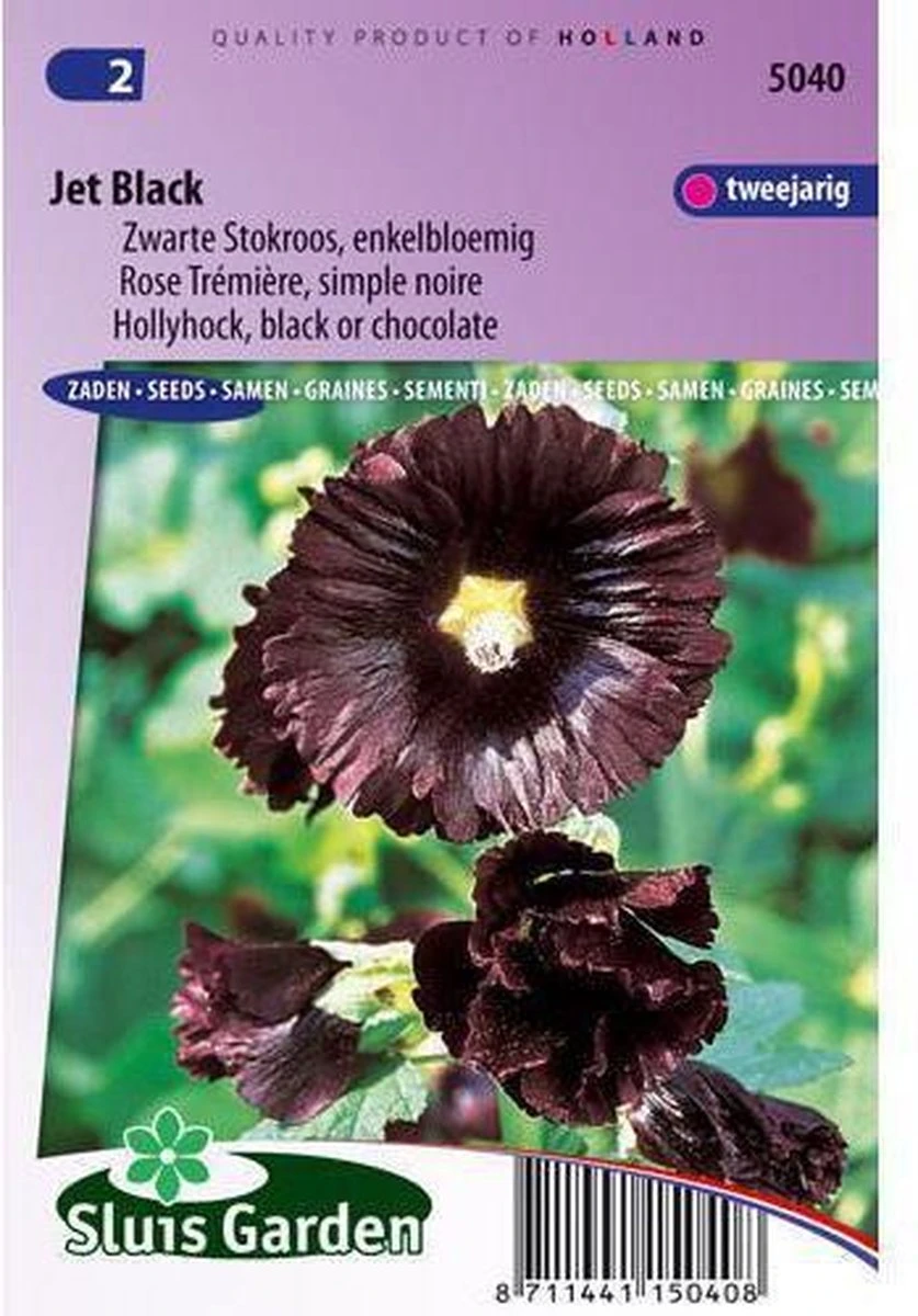 Sluis Garden - Stokroos Jet Black (Alcea rosea) Sluis Garden - Stokroos Jet Black (Alcea Rosea) -Tuinverzorgings Winkel 837x1200 23