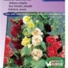 Sluis Garden - Stokroos Summer Carnival Mix (Alcea Rosea) -Tuinverzorgings Winkel 837x1200 29