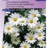 Sluis Garden - Margriet Alaska (Chrysanth) -Tuinverzorgings Winkel 837x1200 30