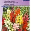Sluis Garden - Leeuwenbek Rainbow Mix, Halfhoog -Tuinverzorgings Winkel 837x1200 31