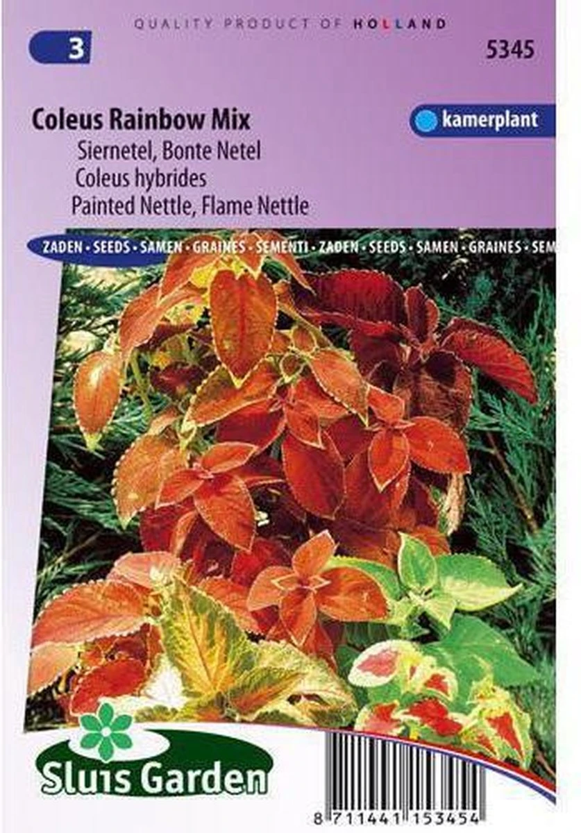 Sluis Garden - Siernetel Rainbow Mix (Coleus blumei) Sluis Garden - Siernetel Rainbow Mix (Coleus Blumei) -Tuinverzorgings Winkel 837x1200 33