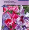 Sluis Garden - Reukerwt Ripple Formula Mix (Lathyrus) -Tuinverzorgings Winkel 837x1200 7