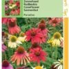 Hortitops Zaden - Echinacea, Zonnehoed Paradiso 1 Hortitops Zaden - Echinacea, Zonnehoed Paradiso -Tuinverzorgings Winkel 840x1200 6