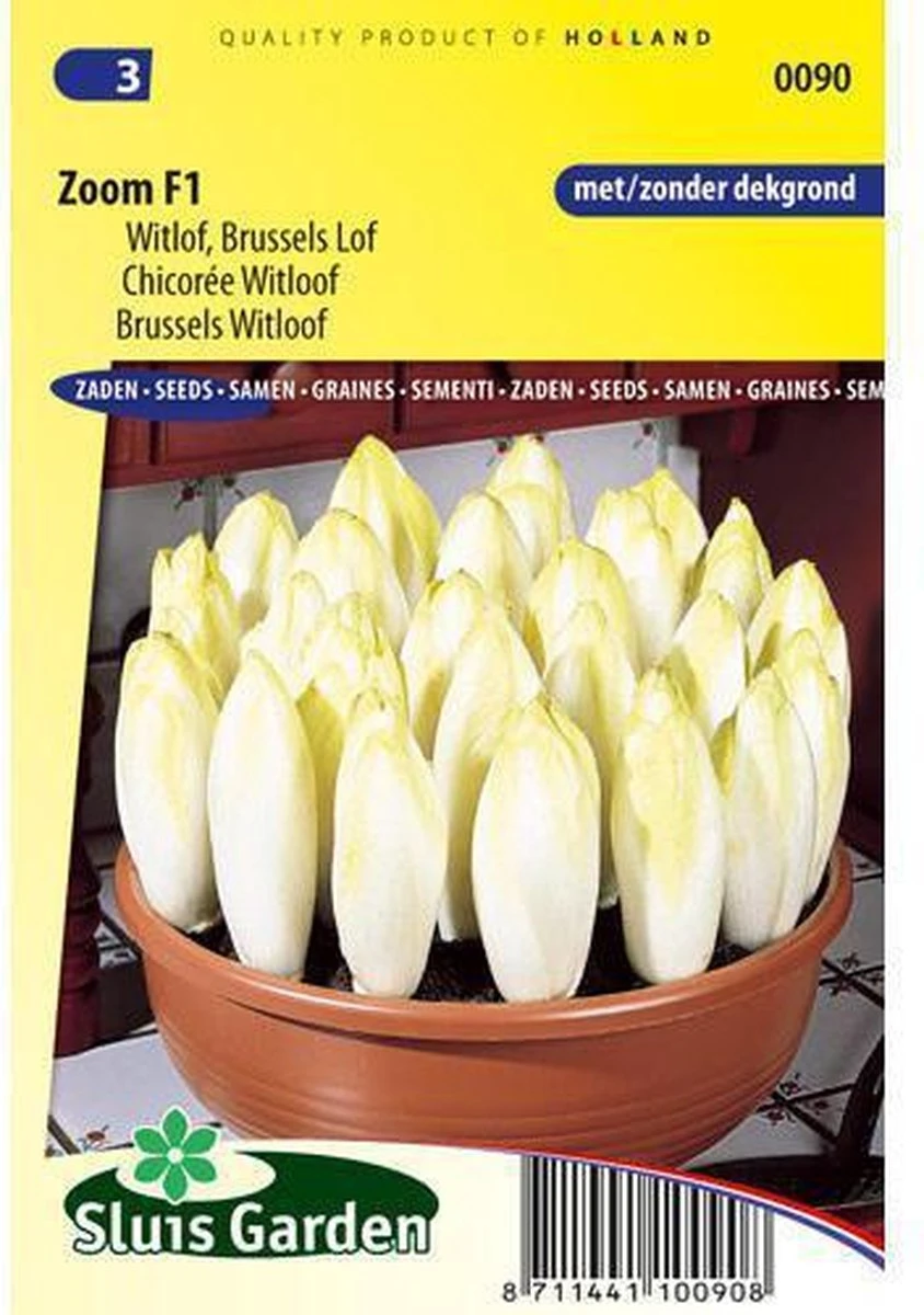 Sluis Garden - Witlof Zoom F1 > wordt Bingo F1 Sluis Garden - Witlof Zoom F1 > Wordt Bingo F1 -Tuinverzorgings Winkel 844x1200 13