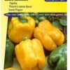 Sluis Garden Paprika California Wonder Yellow -Tuinverzorgings Winkel 844x1200 14