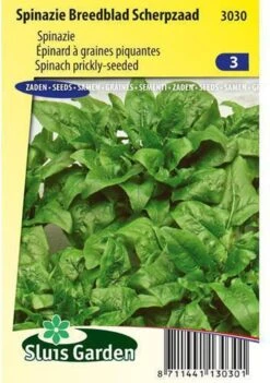 Sluis Garden - Spinazie Breedblad Scherpzaad