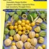 Sluis Garden - Ananaskers (Physalis Peruviana) -Tuinverzorgings Winkel 844x1200 23