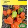 Sluis Garden - Peper Habanero Oranje (Capsicum Chinense) -Tuinverzorgings Winkel 844x1200 3