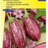 Sluis Garden - Aubergine Listada De Gandia -Tuinverzorgings Winkel 844x1200 4