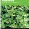 Buzzy Zaden Pepermunt 1 Buzzy Zaden Pepermunt -Tuinverzorgings Winkel 847x1200 2