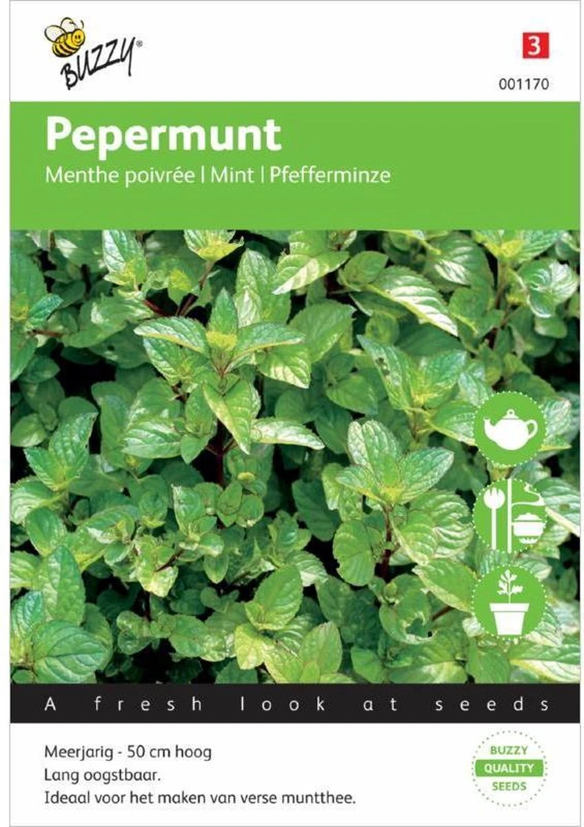 Buzzy Zaden Pepermunt Buzzy Zaden Pepermunt -Tuinverzorgings Winkel 847x1200 2