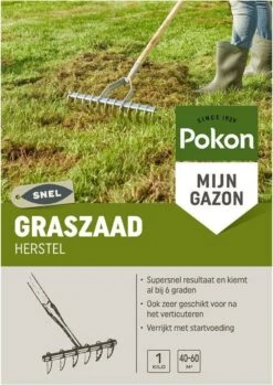 Pokon Graszaad Herstel - 1kg - Gazonherstel - Geschikt Voor 40m² Tot 60m² - Supersnel Egaal Groen Gras 11 Pokon Graszaad Herstel - 1kg - Gazonherstel - Geschikt Voor 40m² Tot 60m² - Supersnel Egaal Groen Gras -Tuinverzorgings Winkel 849x1200 3
