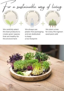 Variatie-set Kiemzaden 5x 100g | Broccoli, Erwten Scheuten, Zonnebloem, Radijs & Mosterd - 500g | Biologische Microgreen, Microgroenten Zaden | Plastic Vrij Verpakt | Moestuin Kweekset Binnen -Tuinverzorgings Winkel 852x1200 1