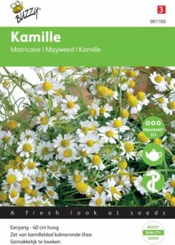 Buzzy Zaden - Kamille - Matricaria Chamomilla -Tuinverzorgings Winkel 860x1200 4