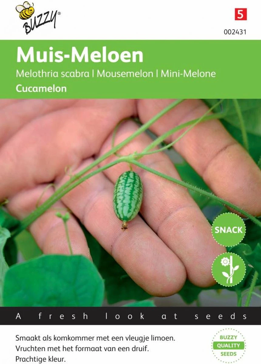 Buzzy zaden - Cucamelons muismeloen 15 zaden Buzzy Zaden - Cucamelons Muismeloen 15 Zaden -Tuinverzorgings Winkel 860x1200 5