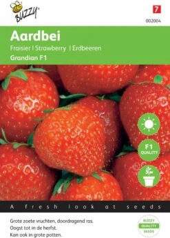 Buzzy® Aardbeien Grandian F1 -Tuinverzorgings Winkel 860x1200 8