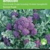 Buzzy® Broccoli Summer Purple 2 Buzzy® Broccoli Summer Purple -Tuinverzorgings Winkel 865x1200 1