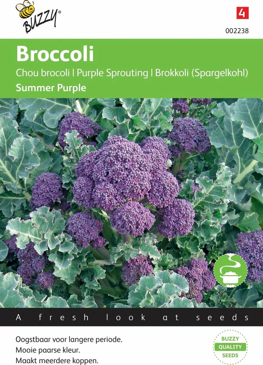 Buzzy® Broccoli Summer Purple Buzzy® Broccoli Summer Purple -Tuinverzorgings Winkel 865x1200 1