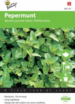Buzzy Zaden Pepermunt 4 Buzzy Zaden Pepermunt -Tuinverzorgings Winkel 865x1200 4