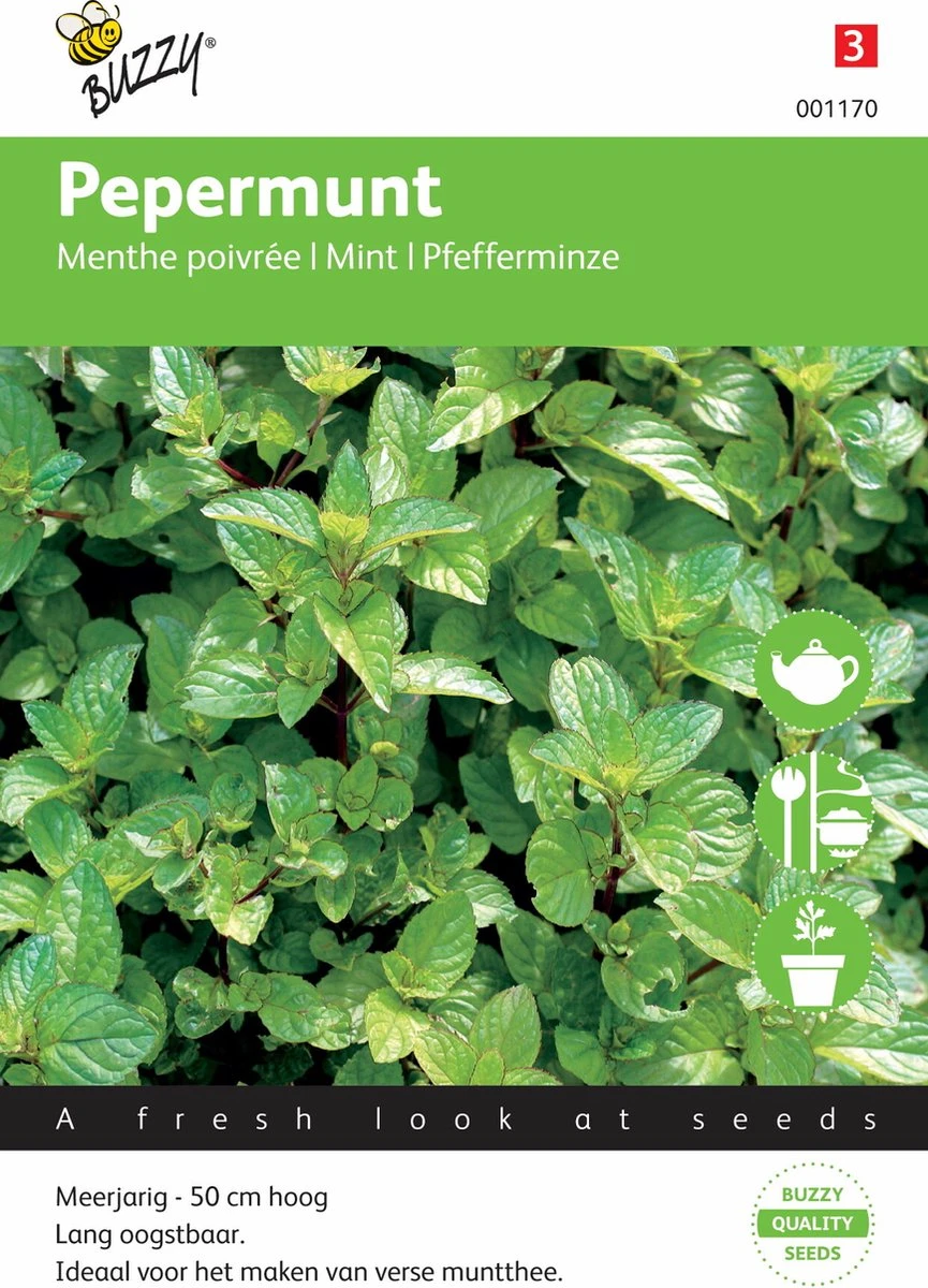 Buzzy Zaden Pepermunt Buzzy Zaden Pepermunt -Tuinverzorgings Winkel 865x1200 4