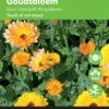 Buzzy® - Goudsbloem Touch Of Red Mix (Calendula Officinalis) -Tuinverzorgings Winkel 865x1200 5