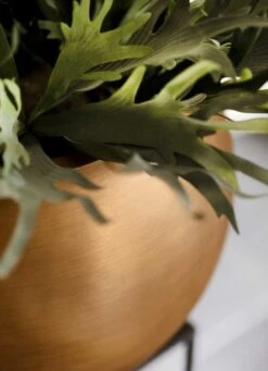 Capi Europe - Vaas Bol Retro - 30x25 - Goud - Bloempot Voor Binnen - BRTG104 -Tuinverzorgings Winkel 869x1200 6