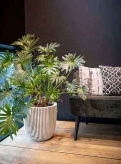 Capi Europe - Bloempot Bol Groove NL - 35x34 - Goud - Voor Binnen En Buiten - KGVGB932 4 Capi Europe - Bloempot Bol Groove NL - 35x34 - Goud - Voor Binnen En Buiten - KGVGB932 -Tuinverzorgings Winkel 883x1200 5