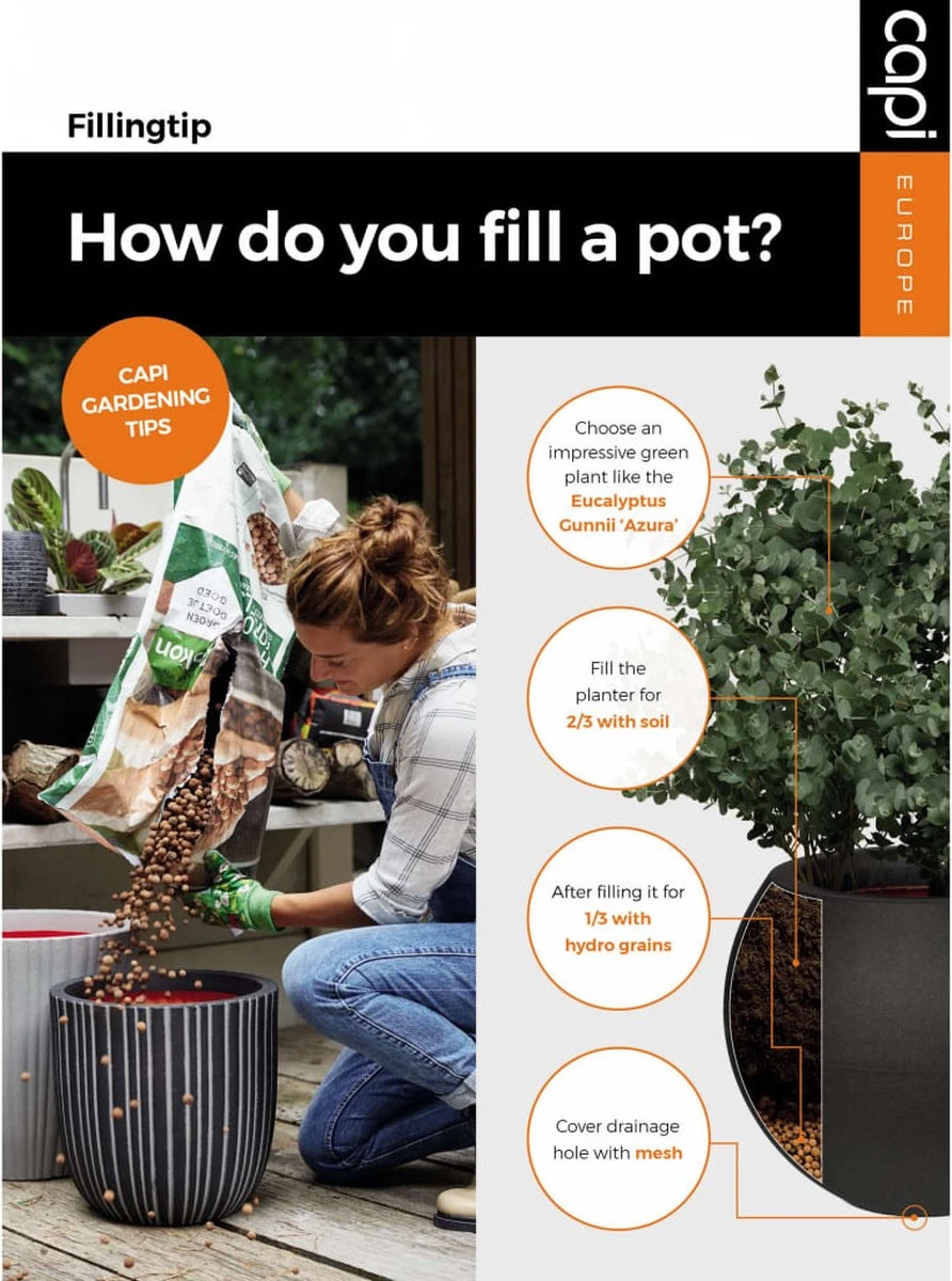 Capi Europe - Bloempot vierkant Smooth NL - 50x50x50 - Zwart - Voor binnen en buiten - KBL904 Capi Europe - Bloempot Vierkant Smooth NL - 50x50x50 - Zwart - Voor Binnen En Buiten - KBL904 -Tuinverzorgings Winkel 892x1200 2