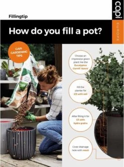 Capi Europe - Bloempot Bol Smooth NL - 54x52 - Zwart - Voor Binnen En Buiten - KBL935 -Tuinverzorgings Winkel 892x1200 3