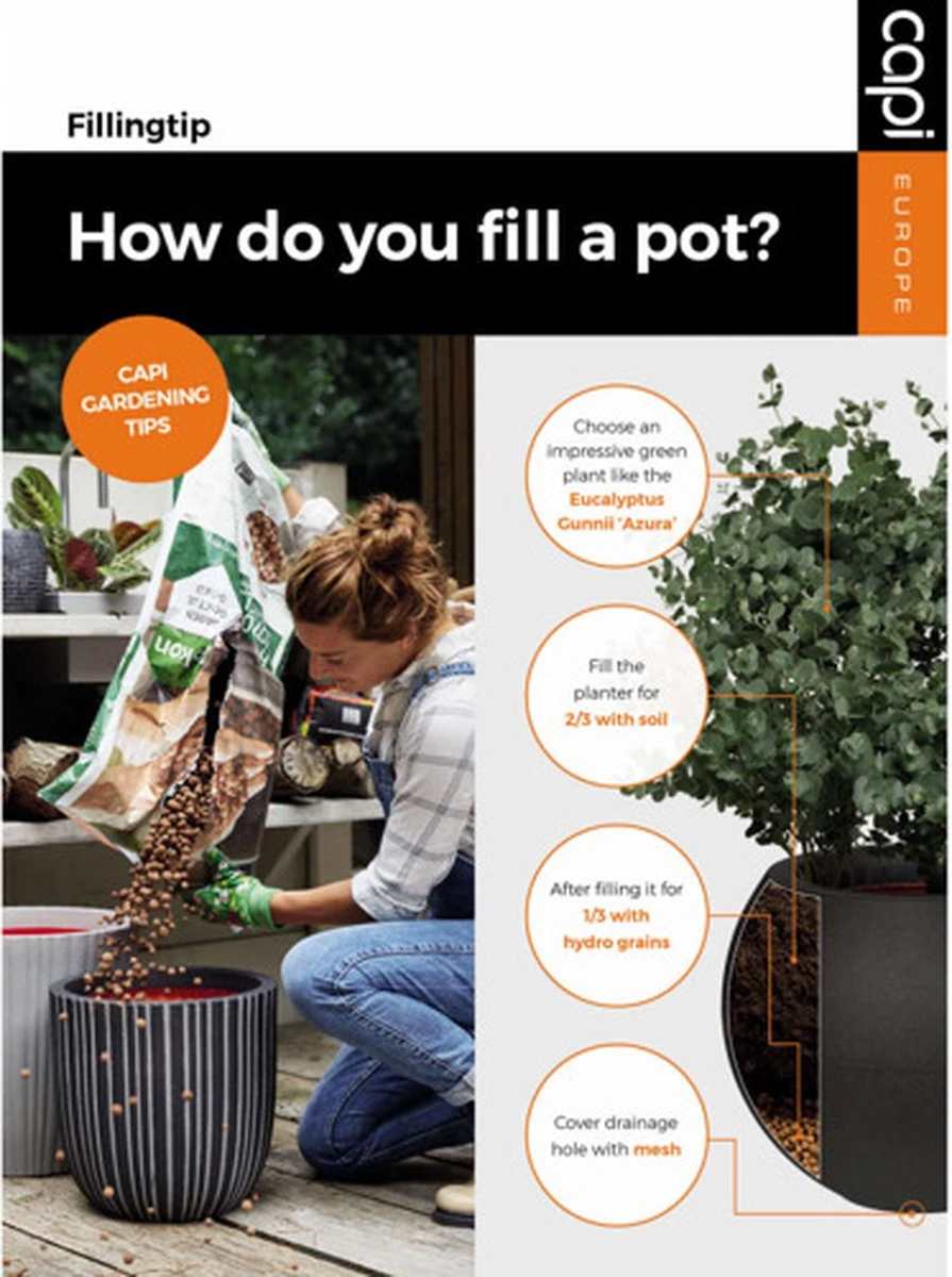 Capi Europe - Bloempot rechthoek Smooth NL - 36x36x79 - Zwart - Voor binnen en buiten - KBL952 Capi Europe - Bloempot Rechthoek Smooth NL - 36x36x79 - Zwart - Voor Binnen En Buiten - KBL952 -Tuinverzorgings Winkel 895x1200 9