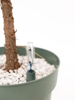 Watermeter Planten (Hydrokit) Ø30cm -Tuinverzorgings Winkel 896x1200 4