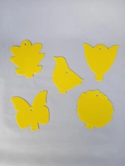 Rouwvliegjes Bestrijden - Voordeelpakket - Aaltjes En Plakkaartjes - Vliegjes In Plant - Varenrouwmug - Vangplaatjes - Decofixer - Aaltjes - Varenrouwmugpakket -Tuinverzorgings Winkel 900x1200 17