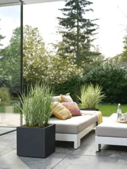 Elho Vivo Next Vierkant 30 - Plantenbak Voor Binnen & Buiten - Ø 29.5 X H 29.5 Cm - Zwart/Living Black 11 Elho Vivo Next Vierkant 30 - Plantenbak Voor Binnen & Buiten - Ø 29.5 X H 29.5 Cm - Zwart/Living Black -Tuinverzorgings Winkel 900x1200 50