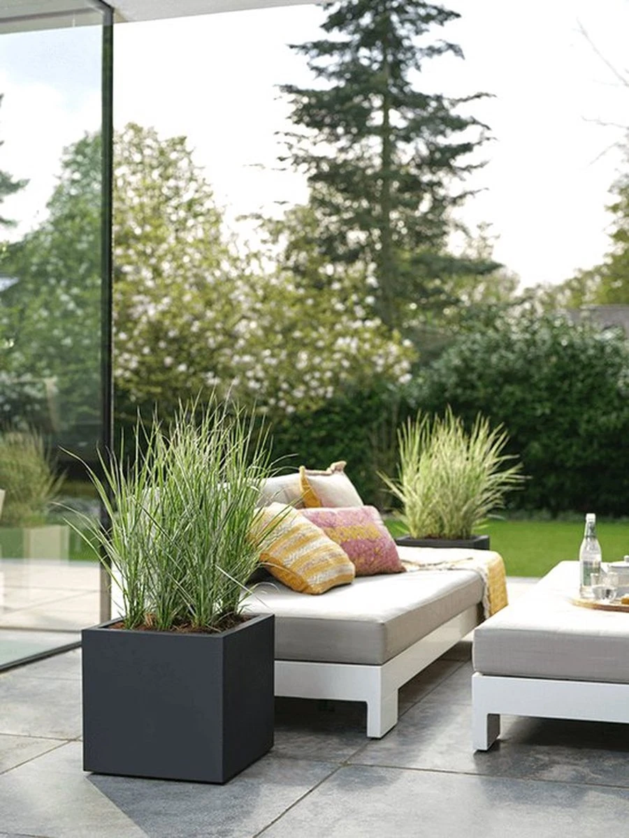 Elho Vivo Next Vierkant 30 - Plantenbak voor Binnen & Buiten - Ø 29.5 x H 29.5 cm - Zwart/Living Black Elho Vivo Next Vierkant 30 - Plantenbak Voor Binnen & Buiten - Ø 29.5 X H 29.5 Cm - Zwart/Living Black -Tuinverzorgings Winkel 900x1200 50