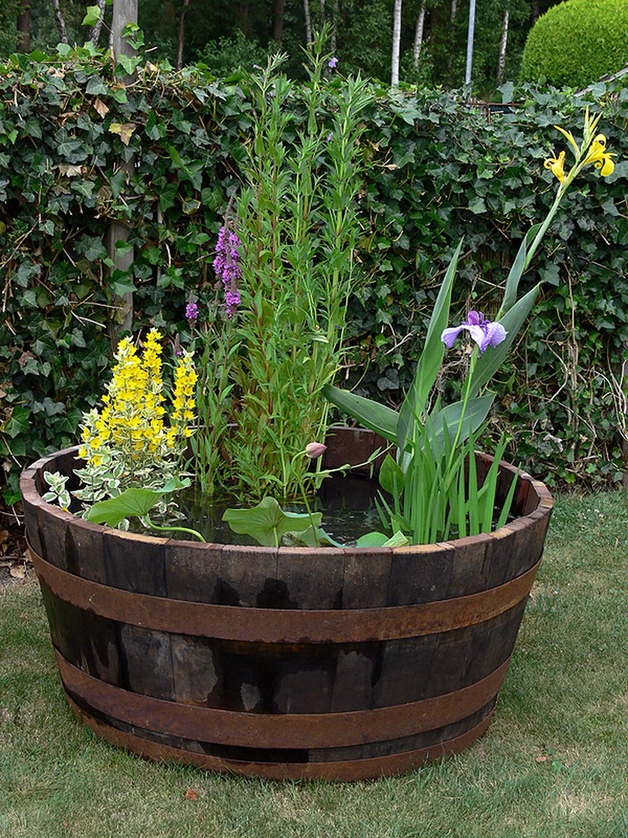 Whiskyvat Kuip 1/2 240l. (authentiek) Whiskyvat Kuip 1/2 240l. (authentiek) -Tuinverzorgings Winkel 900x1200 54