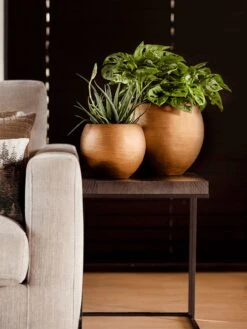 Capi Europe - Vaas Bol Retro - 30x25 - Goud - Bloempot Voor Binnen - BRTG104 -Tuinverzorgings Winkel 900x1200 59