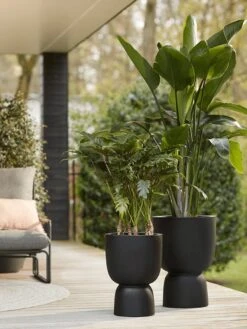 Elho Pure Coupe 35 - Bloempot Voor Binnen & Buiten - Ø 34.9 X H 49.0 Cm - Zwart/Zwart -Tuinverzorgings Winkel 900x1200 61