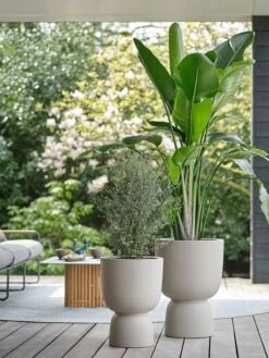 Elho Pure Coupe 35 - Bloempot Voor Binnen & Buiten - Ø 34.9 X H 49.0 Cm - Beige/Balanced Beige -Tuinverzorgings Winkel 900x1200 69