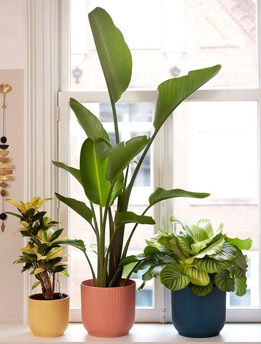 Elho Vibes Fold Rond 22 - Bloempot voor Binnen - Ø 22.0 x H 20.2 cm - Diepblauw Elho Vibes Fold Rond 22 - Bloempot Voor Binnen - Ø 22.0 X H 20.2 Cm - Diepblauw -Tuinverzorgings Winkel 911x1200 3