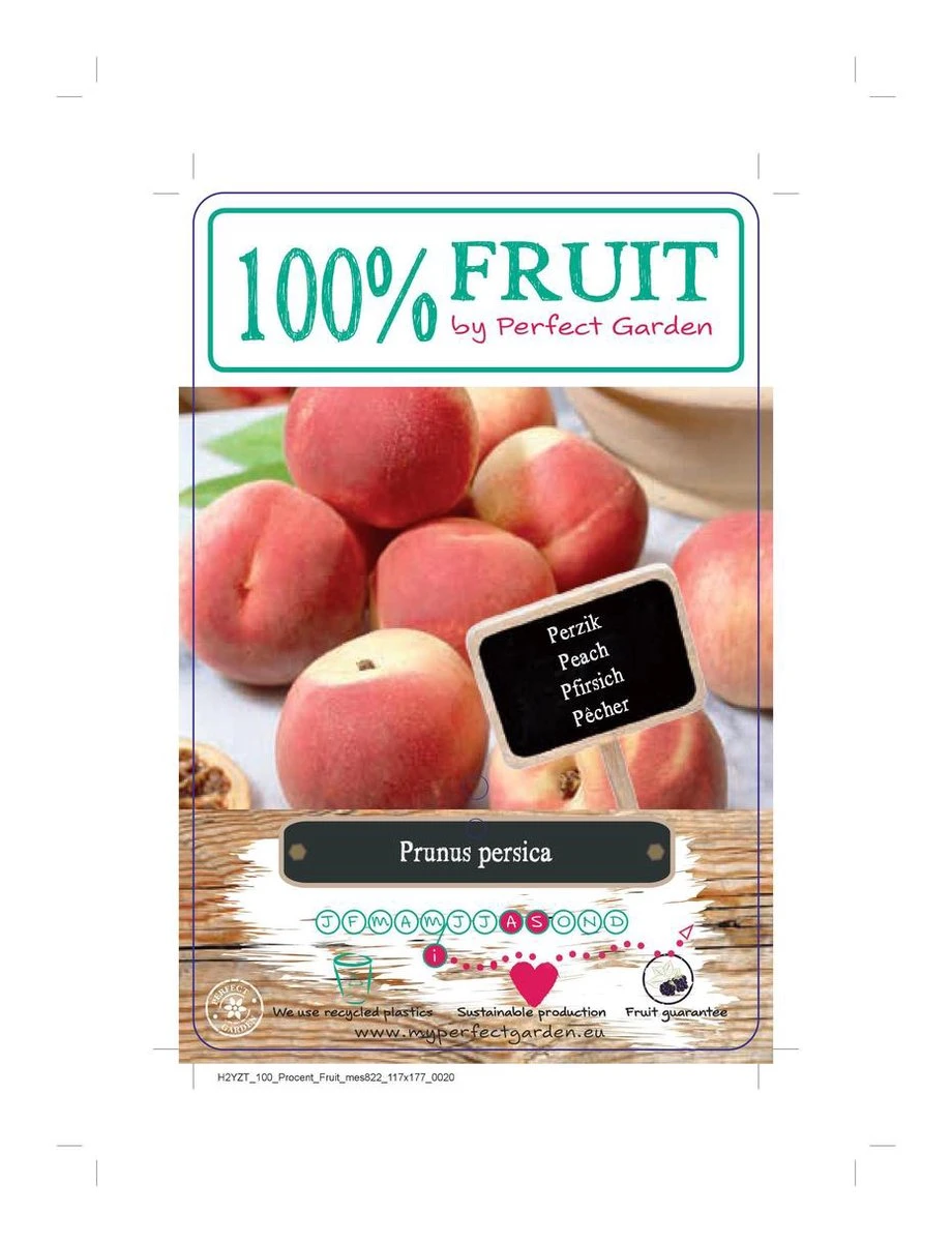 Perzikboom, Prunus persica Patiobomen ‘Perzik', zelfbestuivend, winterhard Perzikboom, Prunus Persica Patiobomen ‘Perzik', Zelfbestuivend, Winterhard -Tuinverzorgings Winkel