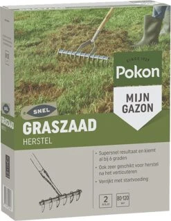 Pokon Graszaad Herstel - 2kg - Gazonherstel - Geschikt Voor 80m² Tot 120m² - Supersnel Egaal Groen Gras 10 Pokon Graszaad Herstel - 2kg - Gazonherstel - Geschikt Voor 80m² Tot 120m² - Supersnel Egaal Groen Gras -Tuinverzorgings Winkel 930x1200 2