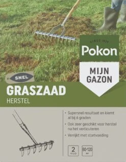 Pokon Graszaad Herstel - 2kg - Gazonherstel - Geschikt Voor 80m² Tot 120m² - Supersnel Egaal Groen Gras