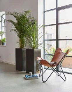 Capi Europe - Bloempot Rechthoek Smooth NL - 36x36x79 - Zwart - Voor Binnen En Buiten - KBL952 4 Capi Europe - Bloempot Rechthoek Smooth NL - 36x36x79 - Zwart - Voor Binnen En Buiten - KBL952 -Tuinverzorgings Winkel 941x1200 4