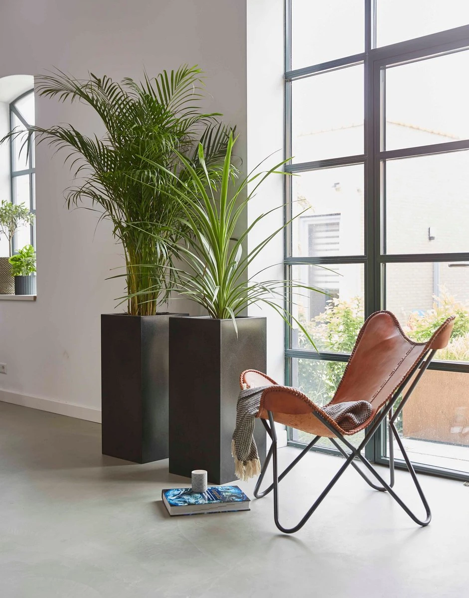 Capi Europe - Bloempot rechthoek Smooth NL - 36x36x79 - Zwart - Voor binnen en buiten - KBL952 Capi Europe - Bloempot Rechthoek Smooth NL - 36x36x79 - Zwart - Voor Binnen En Buiten - KBL952 -Tuinverzorgings Winkel 941x1200 4