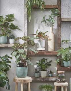 Mica Decorations Daan Bloempot - H17,5 X Ø19 Cm - Groen -Tuinverzorgings Winkel 943x1200 5