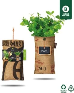 Hangtuintjes Keukenkruiden Kweken - Set 4st. -Tuinverzorgings Winkel 957x1200 1