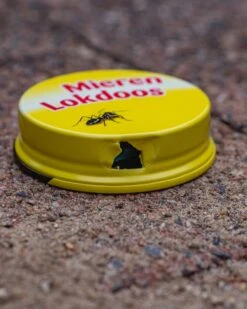 ECOstyle MierenLokdoos - Mierenpoeder Voor Binnen En Buiten - Werkt Enkele Weken - Bestrijd Mieren Op E Wijze - 2 Stuks -Tuinverzorgings Winkel 959x1200 4