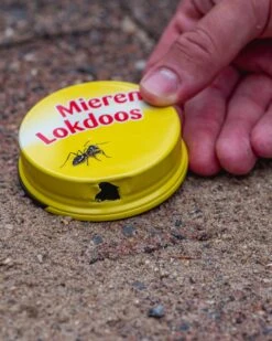 ECOstyle MierenLokdoos - Mierenpoeder Voor Binnen En Buiten - Werkt Enkele Weken - Bestrijd Mieren Op E Wijze - 2 Stuks -Tuinverzorgings Winkel 959x1200 6