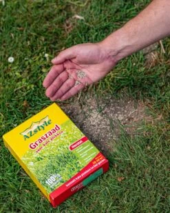ECOstyle Graszaad Herstel Snelkiemend Gazon Gras – Herstelt Kale Plekken – Vogelwerende Coating – Geschikt Voor Zon- En Schaduw Gazons - Snelle Kieming – 20 – 30M² – 500 GR 9 ECOstyle Graszaad Herstel Snelkiemend Gazon Gras – Herstelt Kale Plekken – Vogelwerende Coating – Geschikt Voor Zon- En Schaduw Gazons - Snelle Kieming – 20 – 30M² – 500 GR -Tuinverzorgings Winkel 960x1200 10